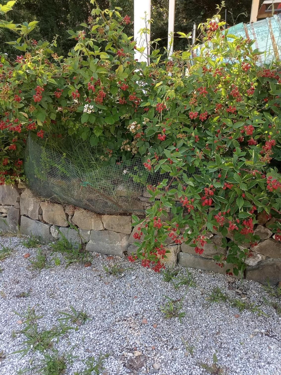 Az.Agricola Agriturismo La Locanda Di Lann Apartment Fucecchio Exterior photo